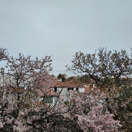 Vila Sanja Premantura Exteriér fotografie